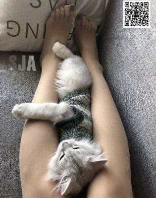 鱼你相医 电视剧_超清影视在线观看