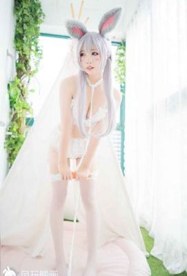 茶杯狐网页版_在线播放-手机免费播放动漫