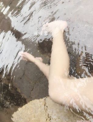一朴二主电视剧_720免费高清观看